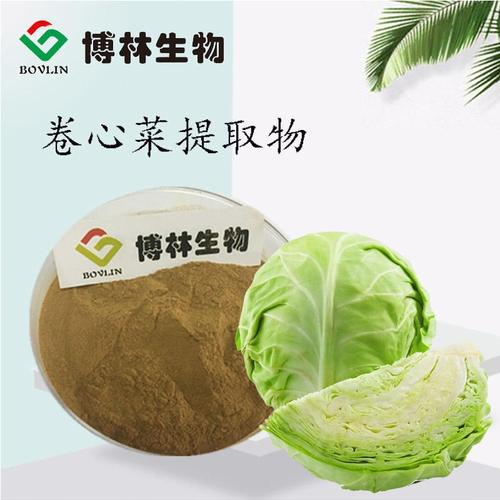 3年卷心菜粉 昊辰工厂现货供应 喷雾粉 包菜粉 卷心菜提取物